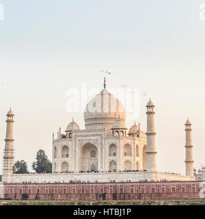 Das Taj Mahal an einem Freitag Nachmittag, wenn die Website für die Öffentlichkeit geschlossen, aber offen für Anbeter, Agra, Indien ist. Stockfoto