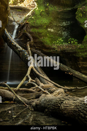 Wasser sanft Kaskadierung durch Kaskaskia Canyon.  Ausgehungert Rock State Park, USA. Stockfoto