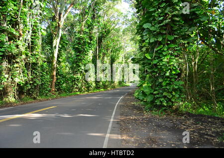 Kauai (der Garteninsel), Hawaii Stockfoto