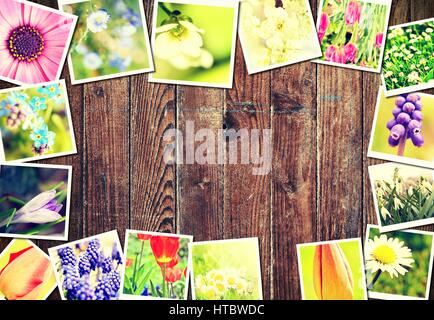 Frühling Blumen Rahmen Bilder mit Pflanzen und Blumen auf braunem Hintergrund aus Holz. Stockfoto