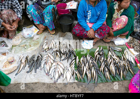 Myanmar (vormals Birmanie). Nyaung Shwe. Shan State. Markt. Fischverkäufer. Stockfoto