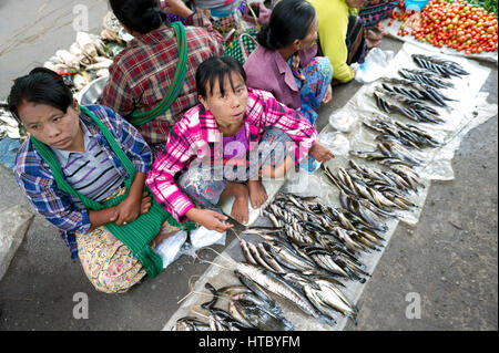 Myanmar (vormals Birmanie). Nyaung Shwe. Shan State. Markt. Fischverkäufer. Stockfoto