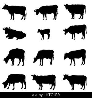 Kuh eingestellt. Tiere Silhouetten. farm animal Sign Collection. Stock Vektor