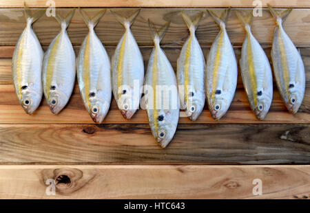 frische gelbe Streifen Trevally Fischen auf Holz im Sonnenlicht Stockfoto