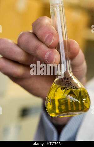 Chris Walne, Laborleiter, bei der Goldschmiede Unternehmen Assay Office, führt eine Reihe von chemischen Tests auf Münzen und Metalle. London, UK. Stockfoto