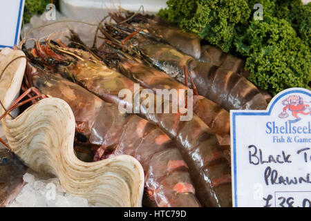 Black Tiger Garnelen in der Schale Stockfoto