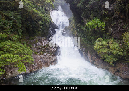 Hollyford Valley, Fiordland-Nationalpark, Southland, Neuseeland. Wasserfall angeschwollen durch Starkregen, Falls Creek. Stockfoto