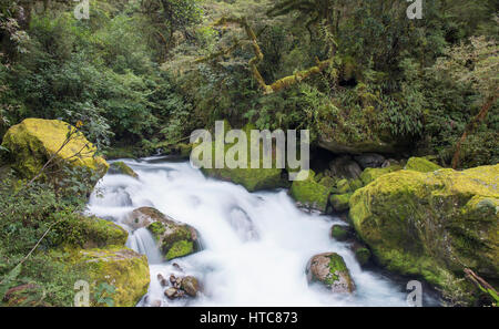 Hollyford Valley, Fiordland-Nationalpark, Southland, Neuseeland. Die schäumenden Wasser des Lake Marian fällt über Felsen in Marian Creek. Stockfoto