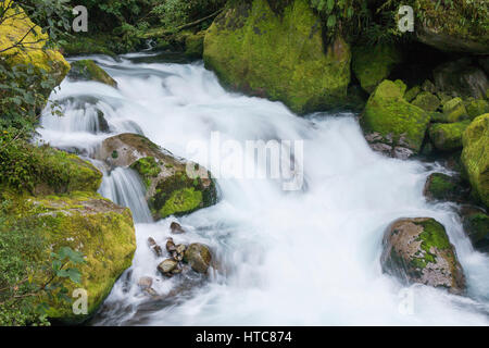 Hollyford Valley, Fiordland-Nationalpark, Southland, Neuseeland. Die schäumenden Wasser des Lake Marian fällt über Felsen in Marian Creek. Stockfoto