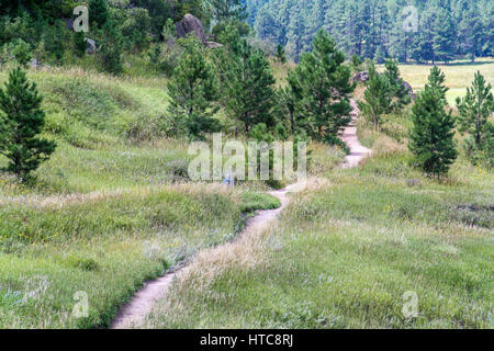 Weggabelung im Castlewood Canyon State Park Stockfoto