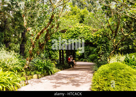 Botanische Gärten, Singapur, Asien Stockfoto