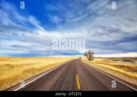 Einsamer Baum durch eine malerische Autobahn, Reisekonzept, USA. Stockfoto