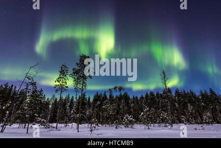 Verschneiten Nacht in Finnland Stockfoto