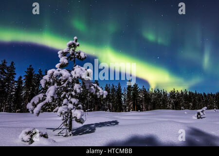 Verschneiten Nacht in Finnland Stockfoto