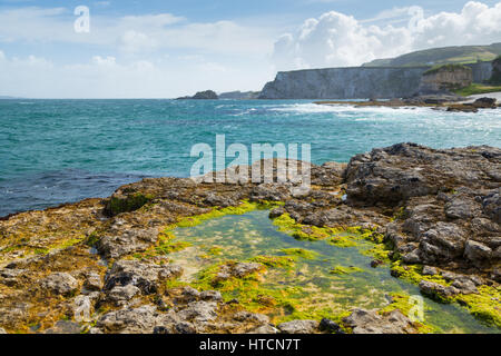 Eine schroffe Küstenlandschaft bei ballintoy Hafen entlang der Causeway Coast in Antrim, Nordirland Stockfoto