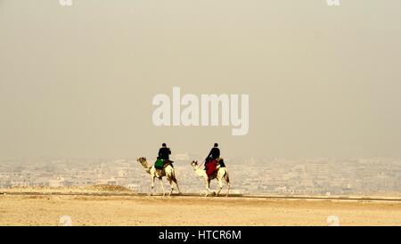 Ägypten, Pyramiden, Gizeh, Camel, nebligen Cairo Stockfoto