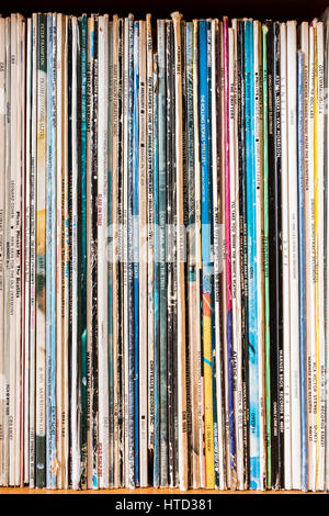 England. Gestapelte Regal der vertikalen Aufzeichnung LPs. 50+. Stacheln zeigt Namen und Titel, schäbig, abgenutzt und verschlissen. Leonard Cohen, Genesis, Slade, andere. Stockfoto