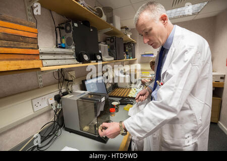 London, UK. 9. März 2017. Neue 1 Pfund-Münzen in London Assay Office vor ihrer Veröffentlichung 28. März 2017 getestet. Im Bild: Chris Walne, Laborleiter, The Goldsmiths Firma Assay Office, wiegt eine der 12 doppelseitige Pfund Münzen auf der Analysenwaage. Es muss 8,75 g oder innerhalb bestimmter Toleranz dafür. Die neue Münze ist leichter als die aktuelle Münze von. 75g. Bildnachweis: Guy Corbishley/Alamy Live-Nachrichten Stockfoto