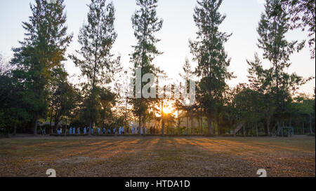 Chiang Mai, Thailand - 22. Februar 2017: Passanten im Garten mit Sommerlandschaft bei Sonnenaufgang. Mehrere Bäume, Kiefern wachsen in ein Feld und Himmel in den Strahlen der untergehenden Sonne im Park in Sankampang Bezirk in Chiang Mai, Thailand am 22. Februar 2017. Stockfoto