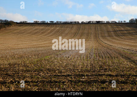 Gepflügte Feld, Muster, gerade Furchen, Boden, Saatbett, Herbstboden, gesät, bebaut, Landwirtschaft, künstlerische Linien, Pflanzen, Anbau, Pflügen, Samen Stockfoto