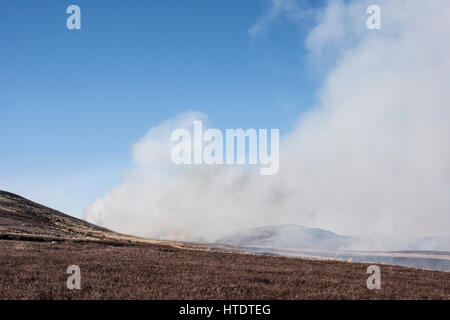 Rauchen von Heather Brennen auf Harkerside Moor, Yorkshire Dales. Dies ist eine Form der Moorland Management höhere Moorschneehühner Populationen zu fördern Stockfoto