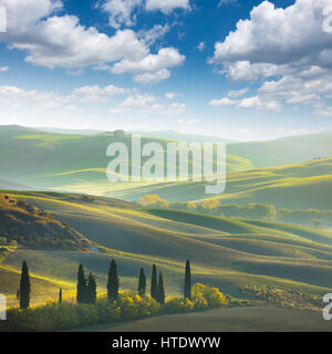 Frische grüne Toskana Landschaft im Frühling - Welle Hügel, Zypressen Bäumen, Wiesen und schönen blauen Himmel. Toskana, Italien, Europa Stockfoto