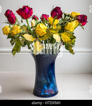 Blasse sterbende ausgetrocknet rosa Blüten in blau Keramik Vase gegen einen einfachen Hintergrund angeordnet Stockfoto