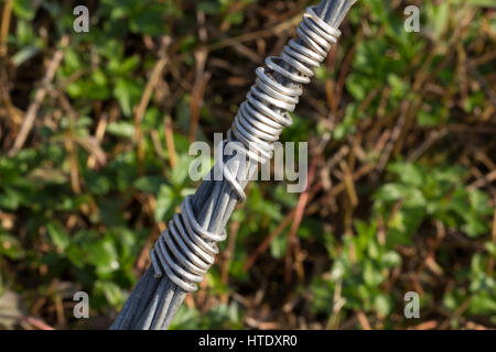 Die Schlinge auf Hintergrund. Stockfoto