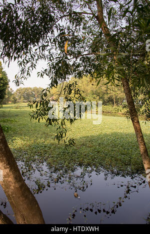 Choenung Ek Völkermord Center, Phnom Penh, Kambodscha Stockfoto