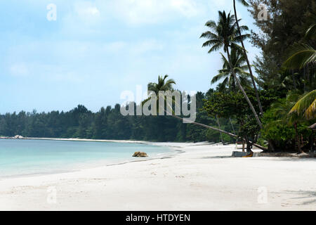 White Sand Beach und Palm Tropenholz erstreckt sich in Richtung des blauen farbigen Ozeans am Nachmittag bei Tanjung Pinang auf Bintan Island, Indonesien. Stockfoto