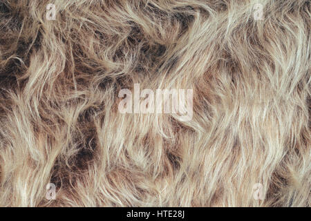 Textur der Kunstpelz mit Langflor. Leeren Hintergrund Stockfoto