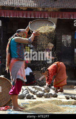 BHAKTAPUR, NEPAL - Oktober 10: Unbekannte Frau Dreschen von Getreide auf traditionelle Weise in der Töpferei Quadrat von Bhaktapur. Die Stadt ist Teil des UNESCO er Stockfoto