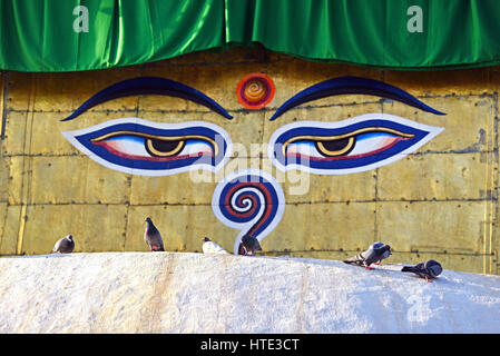 Augen Buddhas aufgemalt Swayambhunath Stupa, Nepal. Vordergrund im Fokus Stockfoto