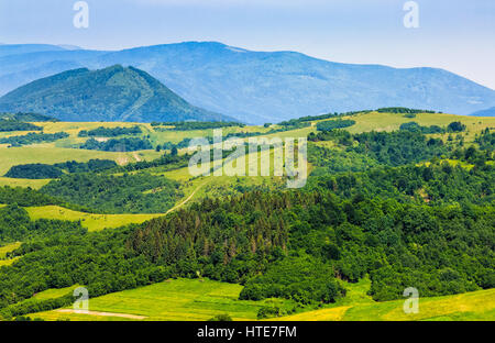 Wald in den Bergen des ländlichen Raums. grünen Bereich Landwirtschaft auf einem Hügel. schöne Sommerlandschaft bei angenehmen Wetter Stockfoto