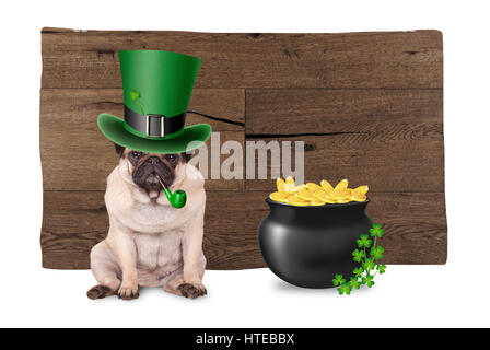 süße Mops Welpen Hund mit St. Patricks Day Hut und Pfeife sitzt neben Topf mit Gold und Shamrock auf hölzernen Hintergrund Stockfoto