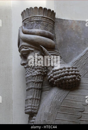 Lamassu aus dem Palast von Sargon II. Assyrer. 721-705 V. CHR.. Khorsabad Palast. Detail Kopf. Louvre-Museum. Paris. Frankreich. Stockfoto