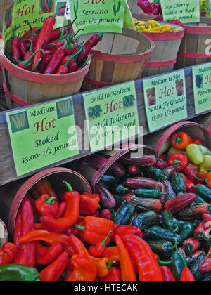 Verschiedene Arten von Chili und Paprika auf einem Markt Stockfoto