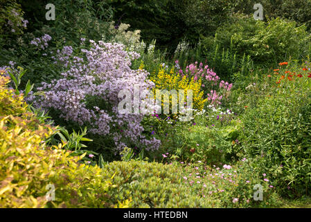 Bunte Blumenbeete im Garten Landhausstil. Gemischte Pflanzung von Sträuchern und Stauden in vollem Wachstum, Mitte Juli. Stockfoto