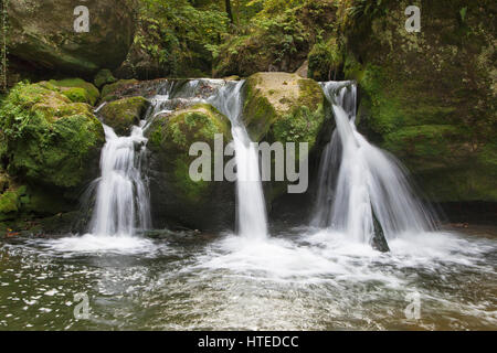 Schiessentumpel Wasserfall im Müllerthal, Luxemburg. Stockfoto