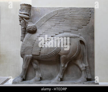 Lamassu aus dem Palast von Sargon II. Assyrer. 721-705 V. CHR.. Khorsabad Palast. Louvre-Museum. Paris. Frankreich. Stockfoto