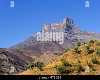 Amphitheater mit Mount östlichen Buttres, Royal Natal National Park, KwaZulu-Natal, Südafrika Stockfoto