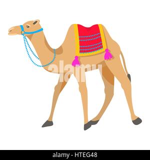 Kamel Cartoon-Vektor-Illustration auf weiß. Stock Vektor