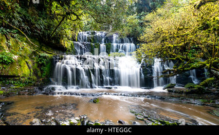 Purakaunui Falls, Wasserfall, die Catlins, Otago, Southland, Neuseeland Stockfoto