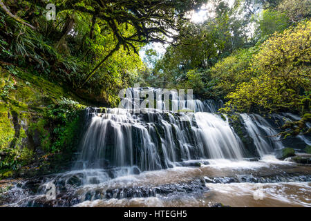 Purakaunui Falls, Wasserfall, die Catlins, Otago, Southland, Neuseeland Stockfoto