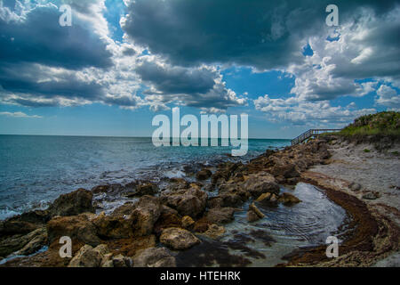 Felsiger Strand Küste Venedig Floridas Stockfoto