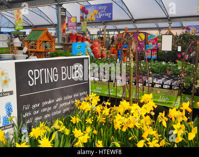 Garten-Center zeigt im zeitigen Frühjahr Stockfoto