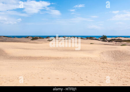 Blick auf den Strand Playa del Inglés (englischer Strand), Gran Canaria, Kanarische Inseln, Spanien Stockfoto