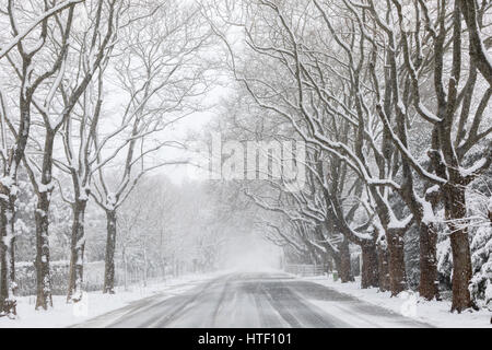 Verschneite Landschaft im Osten von Long Island, New York, USA Stockfoto