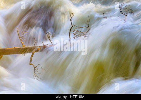 Sunwapta Falls, Jasper-Nationalpark Stockfoto