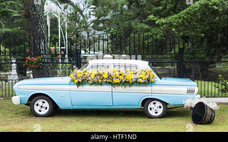 Parada de Las Flores Stockfoto